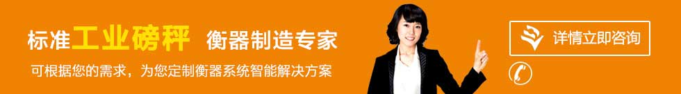 聯(lián)系山東電子電子定量包裝秤、無(wú)人值守稱(chēng)重系統(tǒng)廠(chǎng)家