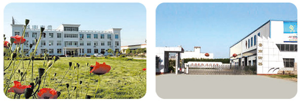 土建基礎(chǔ)對地磅在檢定周期內(nèi)失準(zhǔn)的影響分析魯南衡器廠區(qū)實(shí)景